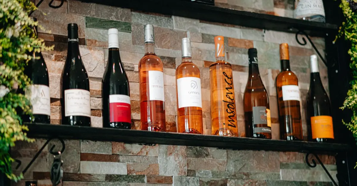 Les Vins Bretons : Sélection des Meilleurs Accords avec Vos Plats