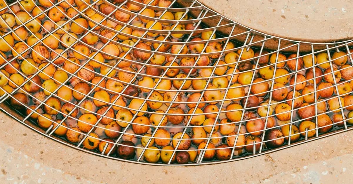 Comment Préparer un Cidre Breton Parfait à la Maison