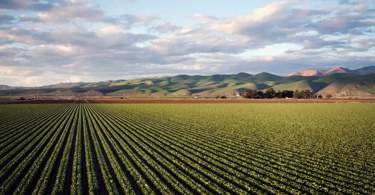 Comprendre le Concept du Terroir en Bretagne