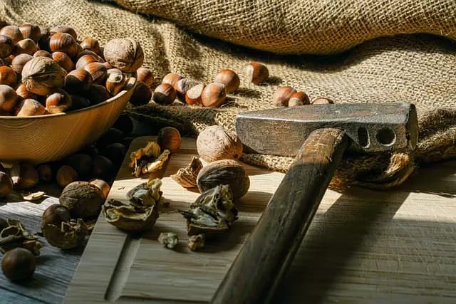 Tout Savoir sur la Cuisine Bretonne : Recettes et Traditions
