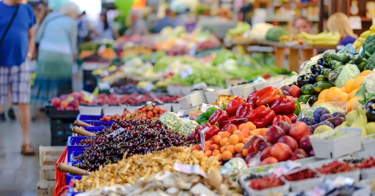 L'Évolution des Produits Biologiques en Bretagne