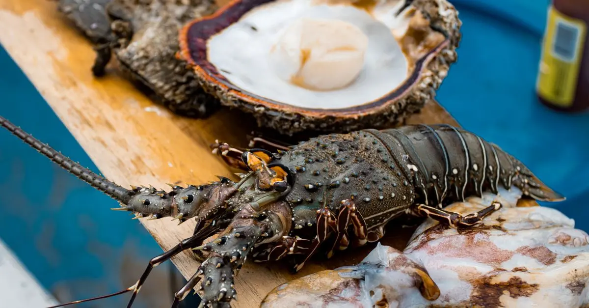 L'Art de Préparer un Plateau de Fruits de Mer Breton
