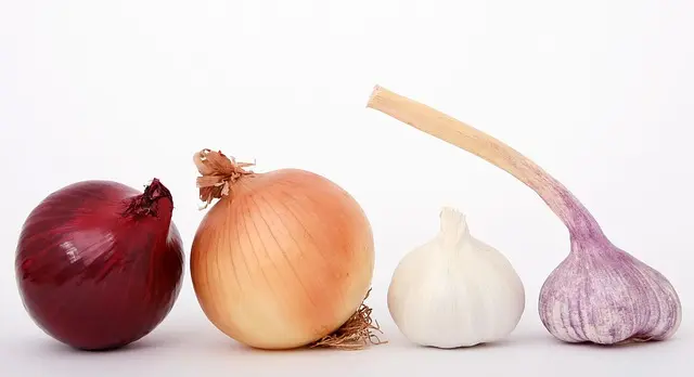 À la Découverte des Épices Incontournables de la Cuisine Bretonne