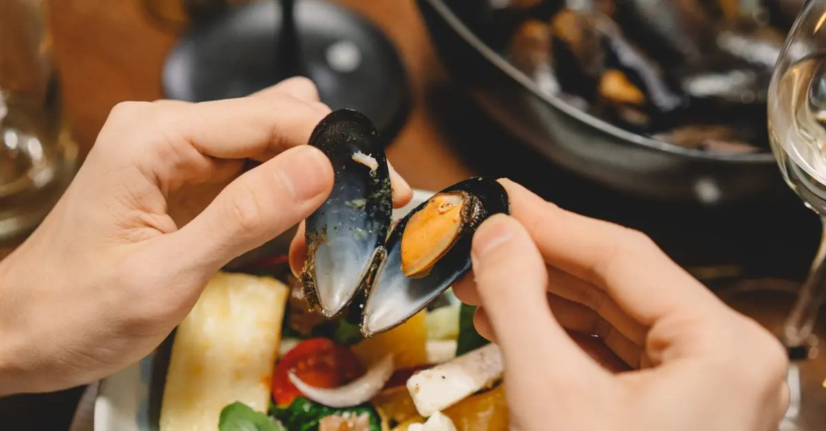 Analyse Complète de la Moule de Bouchot de Bretagne