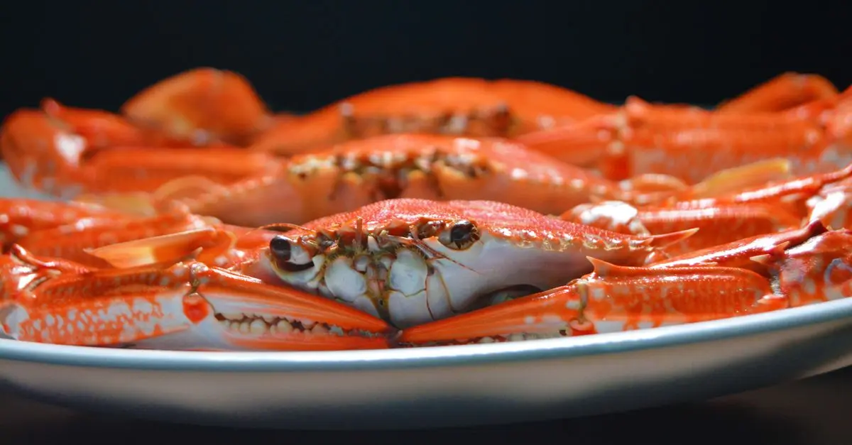 Découvrir les Spécialités Culinaires de Finistère
