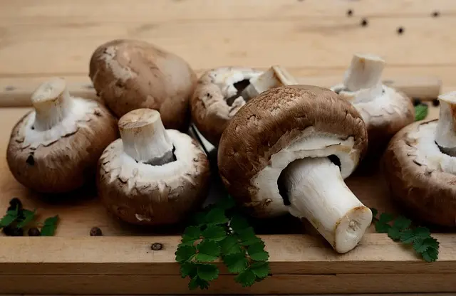 Pourquoi le Blé Noir est l'Ingrédient Star de la Cuisine Bretonne