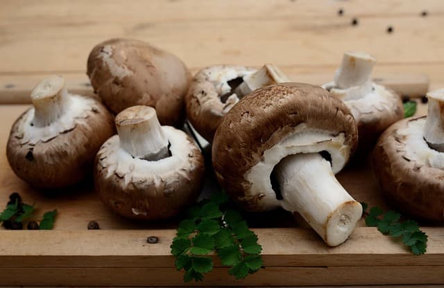 À la Découverte des Plats de Saison en Bretagne : Recettes à Tester