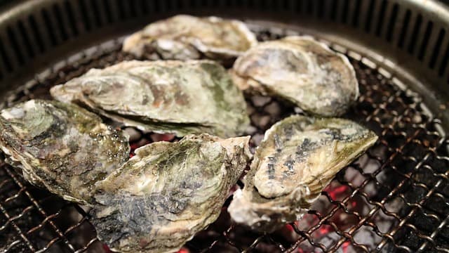 Les Incontournables Plats de Fruits de Mer en Bretagne