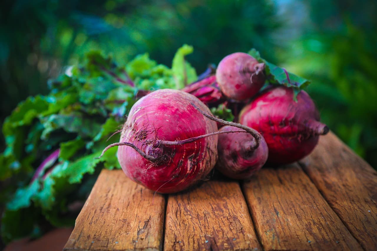 Les Plats Breton : Un Voyage au Coeur de Nos Traditions